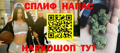 прущие грибы Бузулук