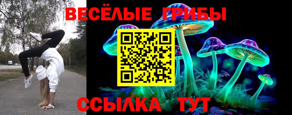 Псилоцибиновые грибы Psilocybe Первоуральск