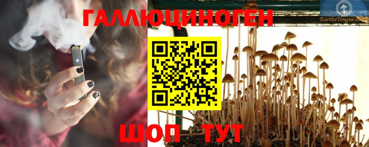 Псилоцибиновые грибы Psilocybe  Вход с VPN  Первоуральск  Псилоцибиновые грибы прущие грибы 